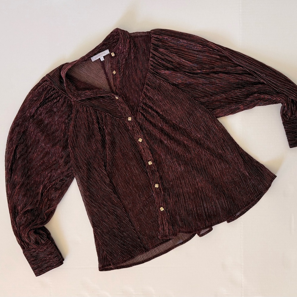Elegant Burgundy Metallic Blouse Top
